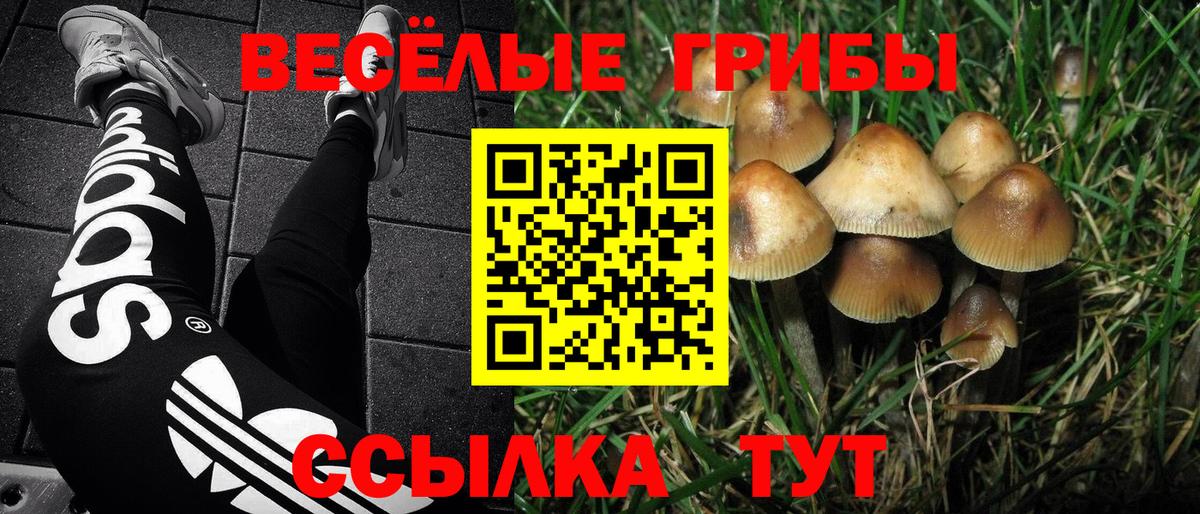 Галлюциногенные грибы мухоморы Дербент
